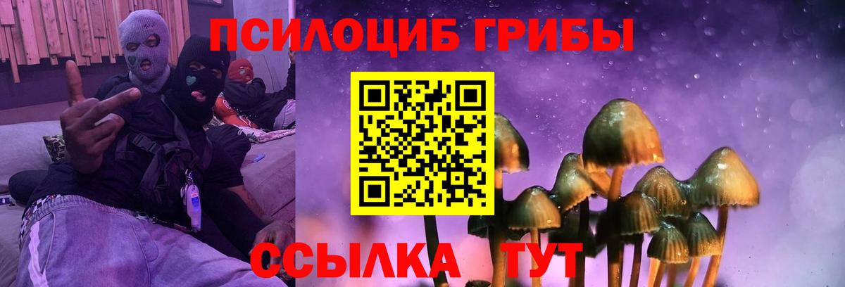Павлово  Галлюциногенные грибы мицелий  Псилоцибиновые грибы Psilocybe  Вход с VPN 