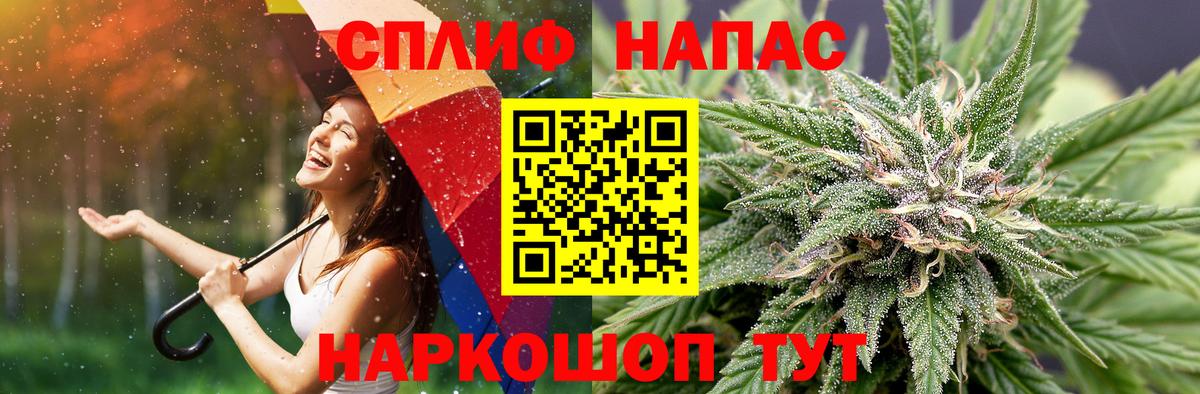 Павлово  Каннабис MAZAR  Вход с VPN  МАРИХУАНА SATIVA & INDICA  Каннабис планчик 